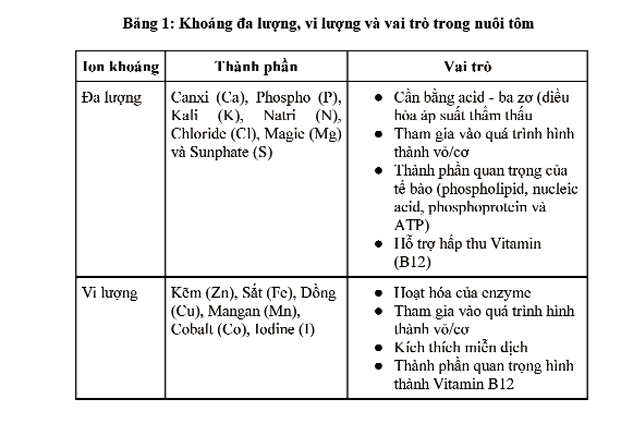 Description: http://thuysanvietnam.com.vn/uploads/article2/baiviet/nuoitrong/vai-tro-cua-khoang-trong-nuoi-tham-canh-04.png