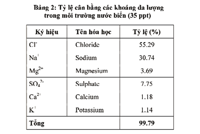 Description: http://thuysanvietnam.com.vn/uploads/article2/baiviet/nuoitrong/vai-tro-cua-khoang-trong-nuoi-tham-canh-05.png